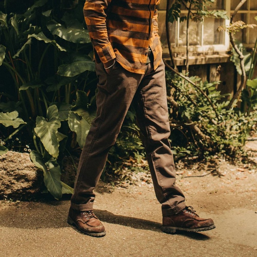Taylor Stitch | Democratic Foundation Pant | Color: Organic Espresso | Size: 32
